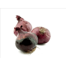 Produkt, das nicht in den Warenkorb gelegt werden kann