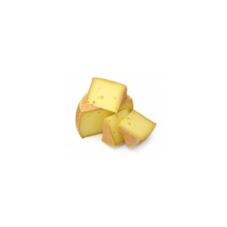 Gouda