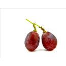 Produkt mit Preisverlauf