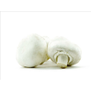 Produkt mit Verlinkungen in der Artikelbeschreibung