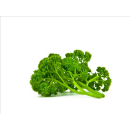 Als Top Artikel markiertes Produkt