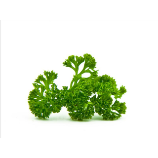 Produkt mit selbstdefiniertem Meta-Title