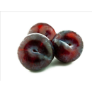 Produkt mit selbstdefinierten Meta-Keywords