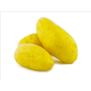 Produkt mit Variation (Radiobutton)