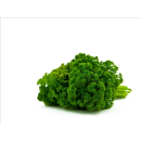 Produkt mit Mediendatei PDF