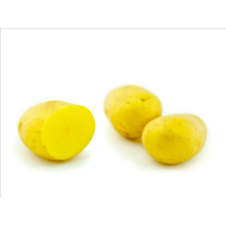 Artikel mit Download Dateien