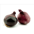 Artikel mit Uploadm&ouml;glichkeit